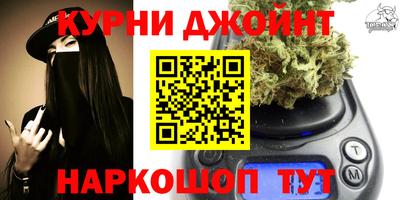 индика Заводоуковск