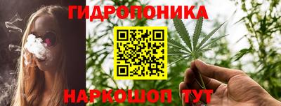 индика Заводоуковск