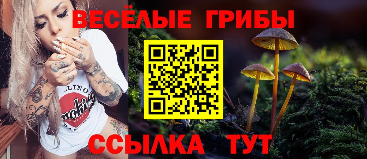 Минусинск  Псилоцибиновые грибы ЛСД  Вход с VPN 